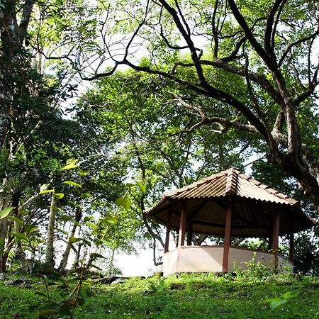 Rajanawa Resort Ratnapura Esterno foto