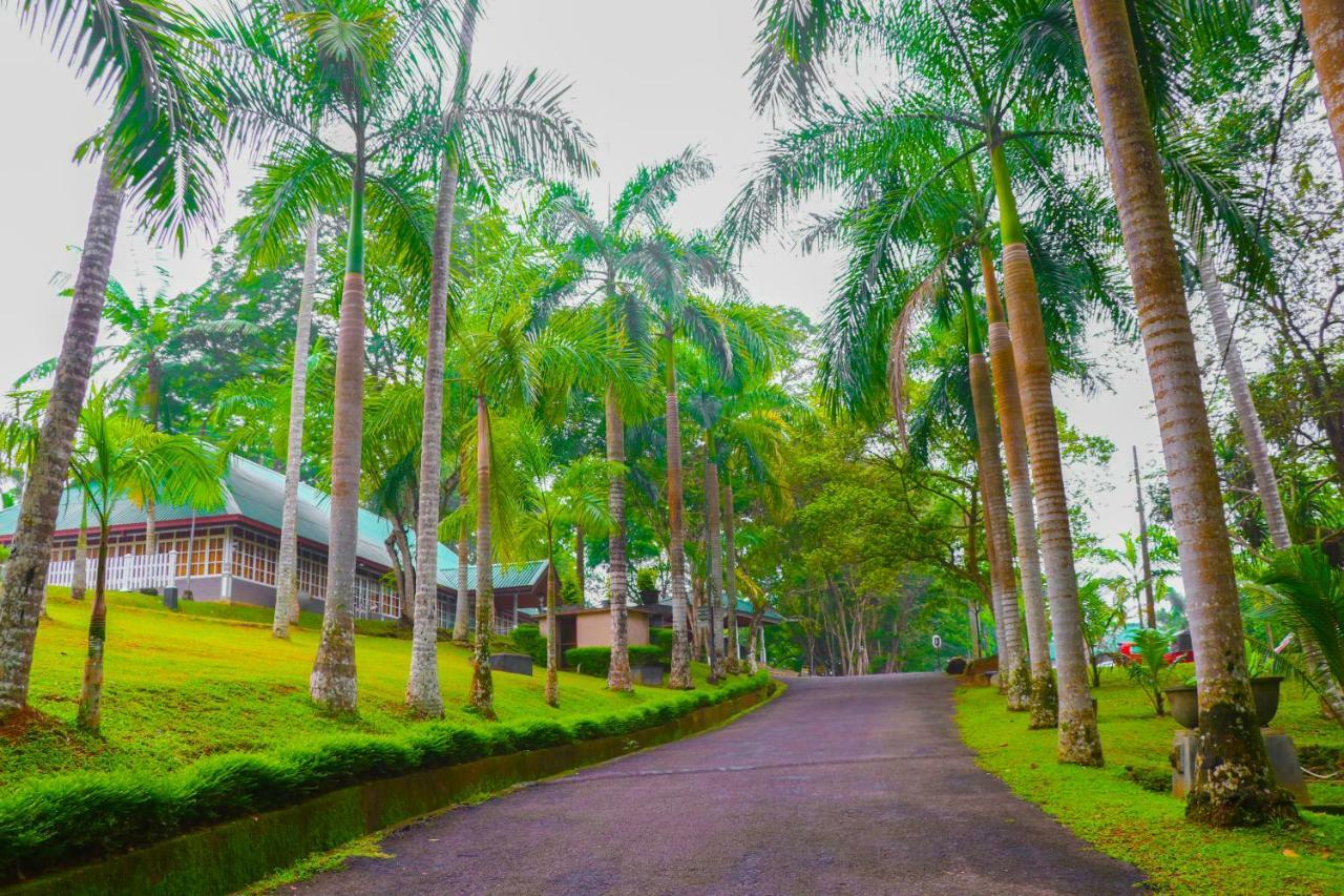 Rajanawa Resort Ratnapura Esterno foto
